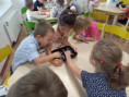 /album/september-v-sovickove/20250910-091910-jpg/
