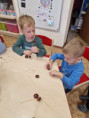 /album/plody-jesene-v-nasej-ms/img-20251009-wa0032-jpg/