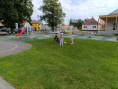 /album/tyzden-pohybu1/1000034502-jpg/